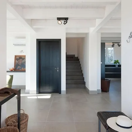 Selene Marcheholiday *